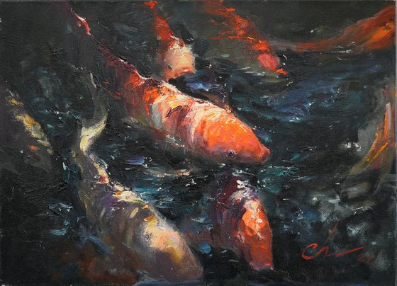 Koi