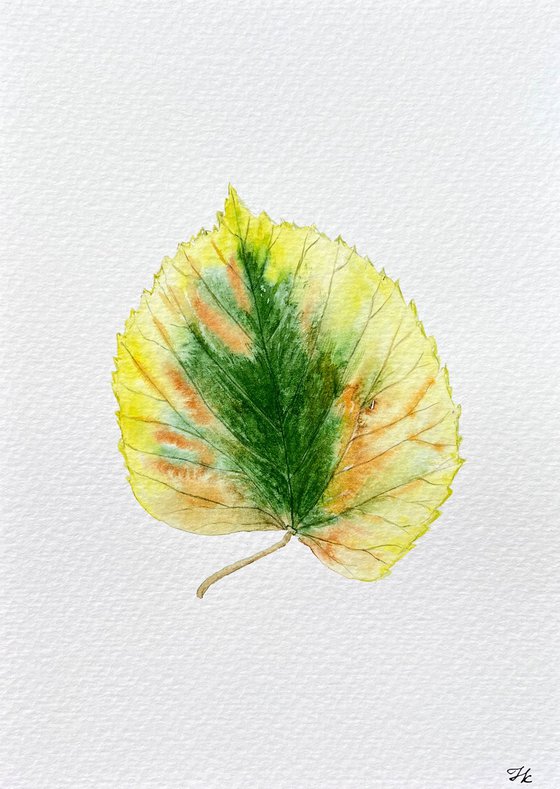 Autumn leaf Sketch #2