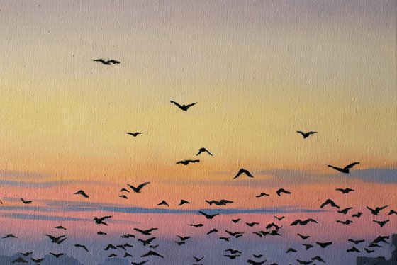 Flock at First Light