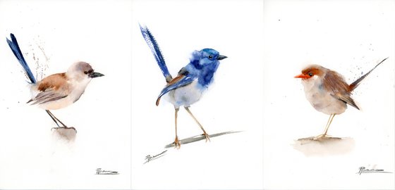 Wrens - triptych