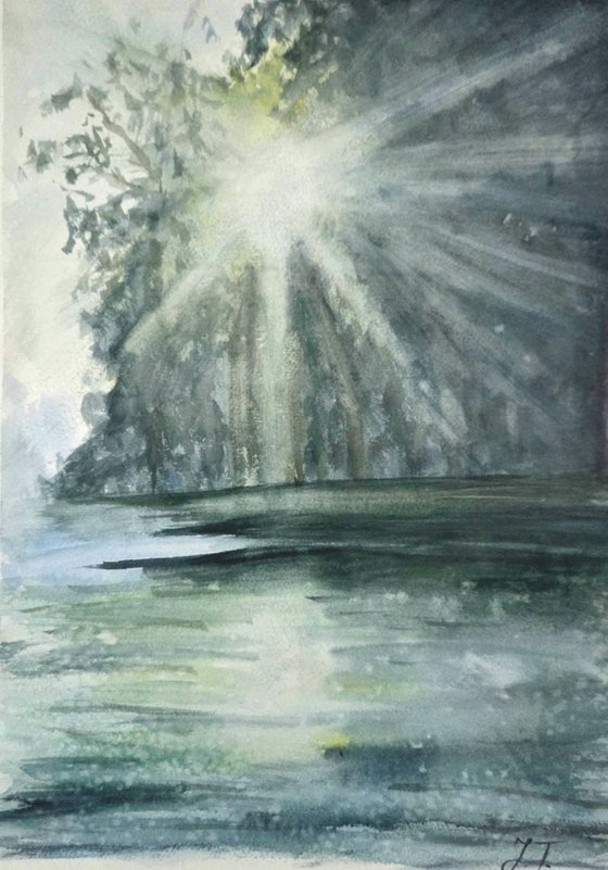 IN THE MORNING LIGHT