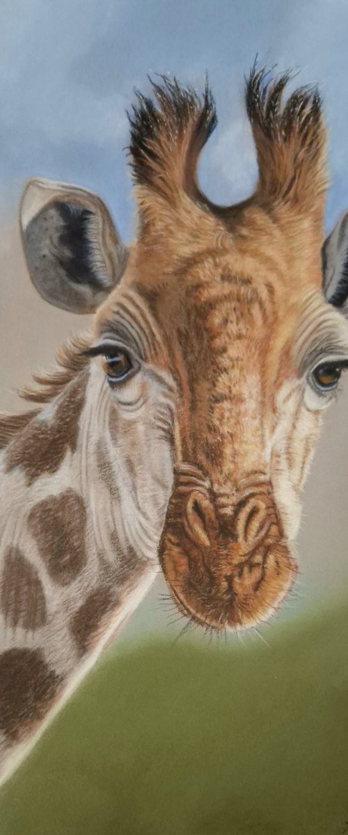 Head in the clouds by Silvia Frei