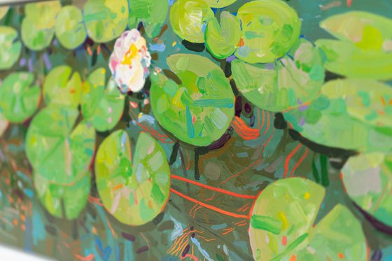 Tasman Lily Pond 48