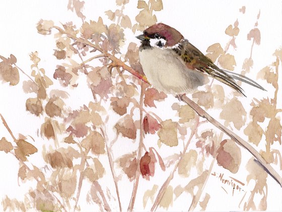 Sparrow and Autumn Plants