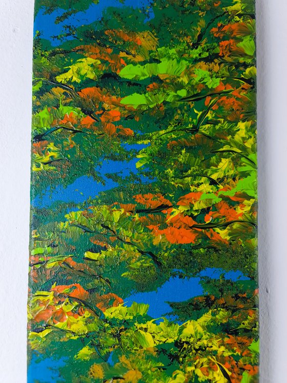 Colorful autumn 3