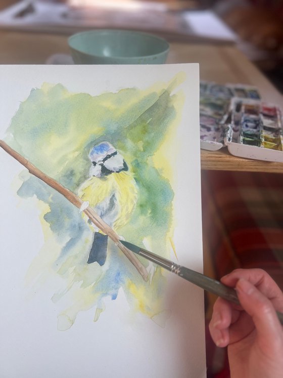 Blue Tit on Branch