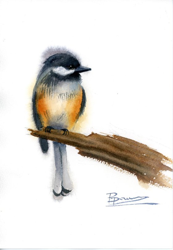 Chickadee