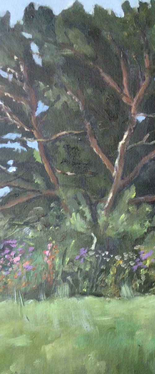 Fir tree at Pegwell by Julian Lovegrove Art