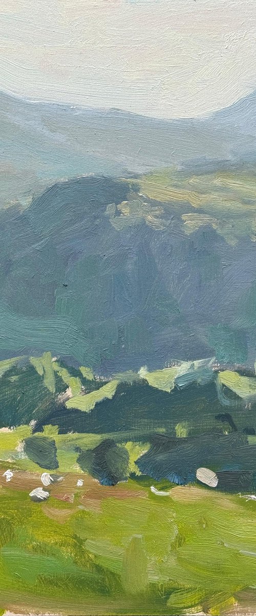 Halfway up to Wansfell Pike by Alex James Long