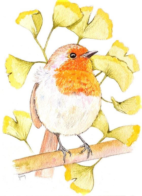 Robin