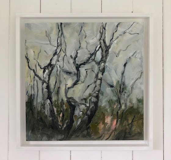 birches in winter