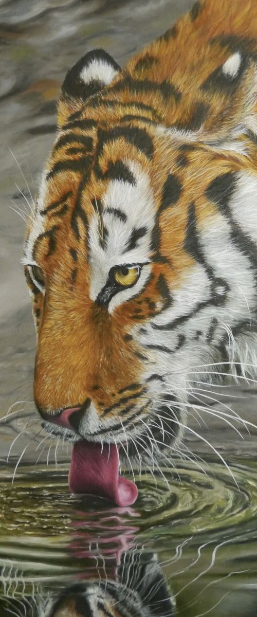 Thirst by Tony Berriman