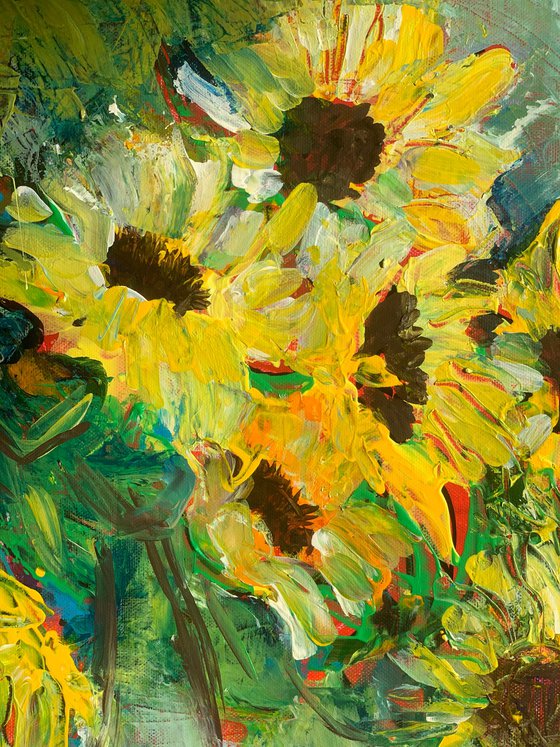 Sunflower fields