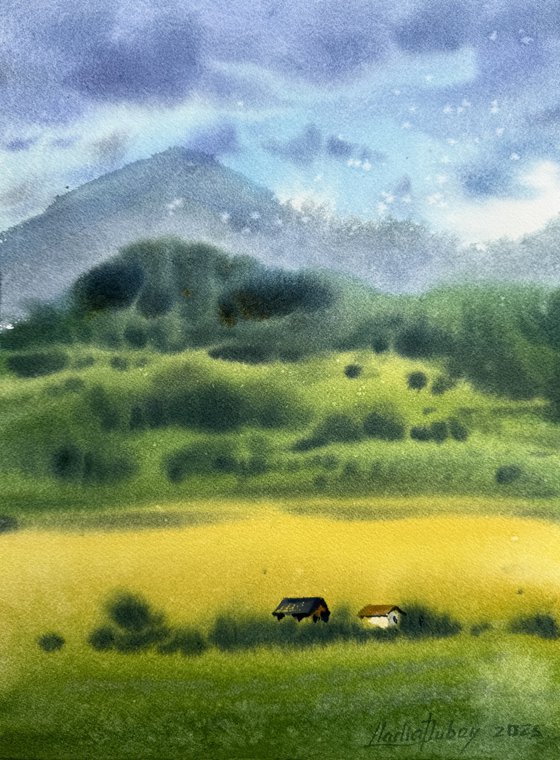Ukrainian fields