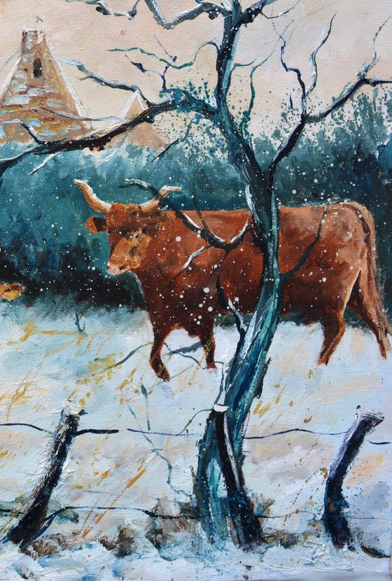 Cows in the snow