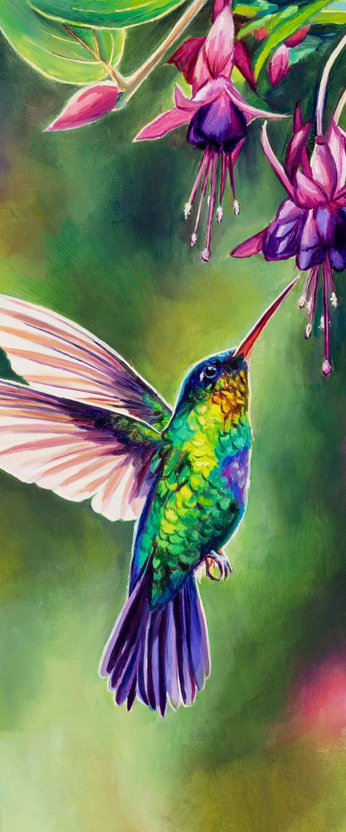Hummingbird with fuchsia flowers by Lucia Verdejo