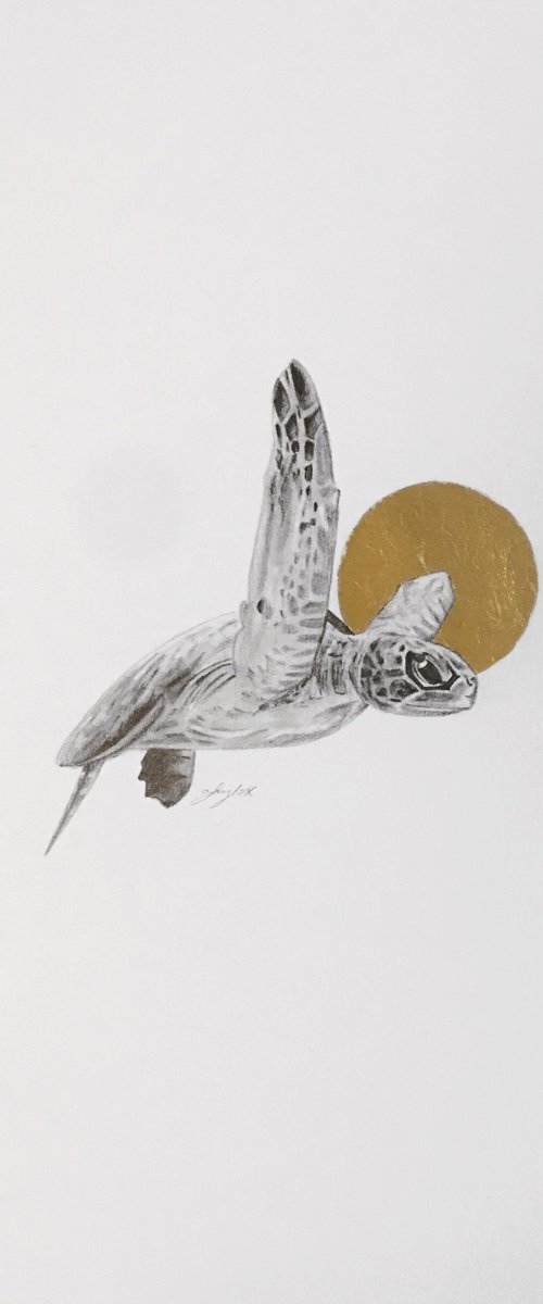 Sea turtle by Amelia Taylor