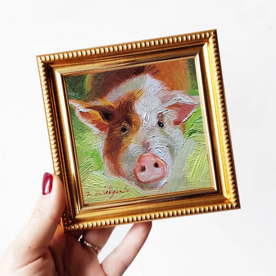 Pig portrait