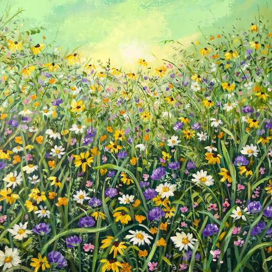 Morning Meadow