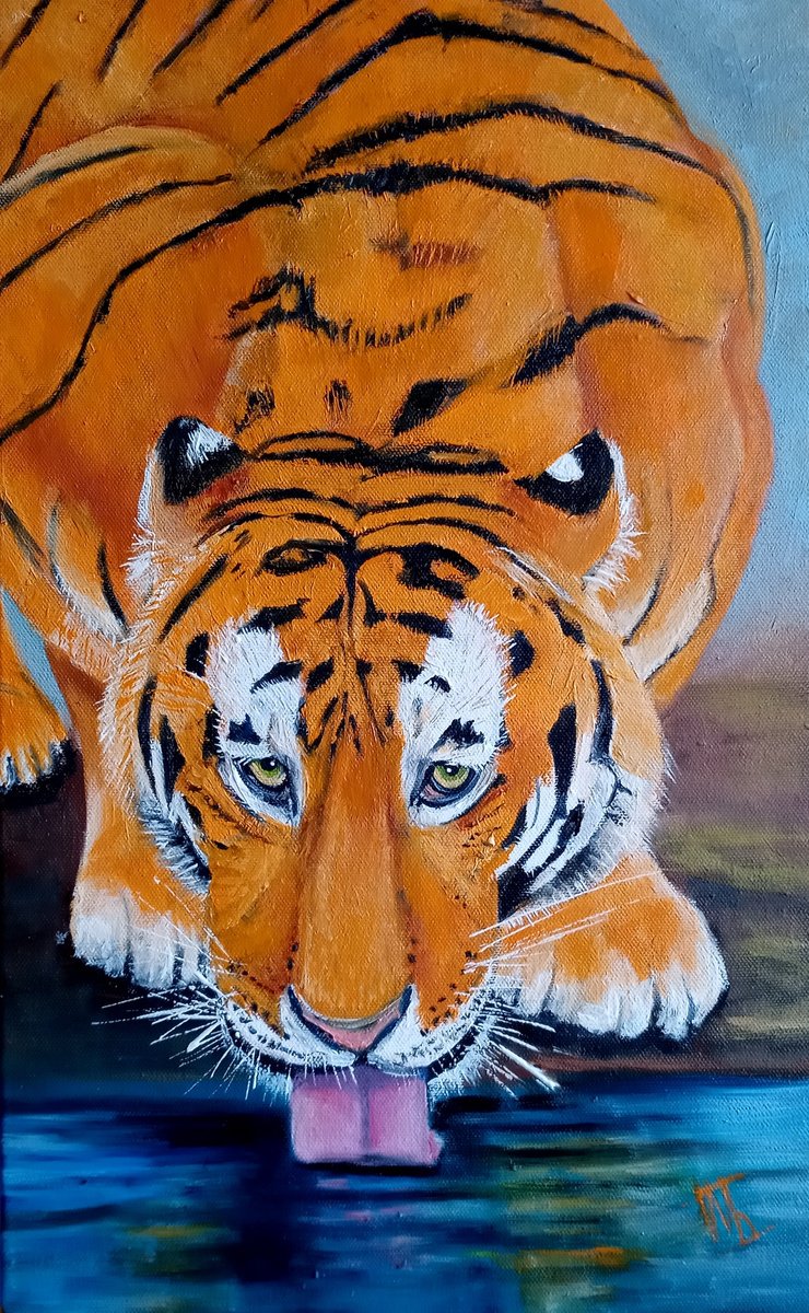 Amur tiger by Ira Whittaker