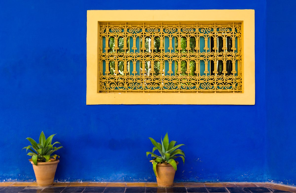 Cityscapes Photograph By Tom Hanslien, 90 X 60", Jardin Majorelle, Marrakech I, Original Artwork