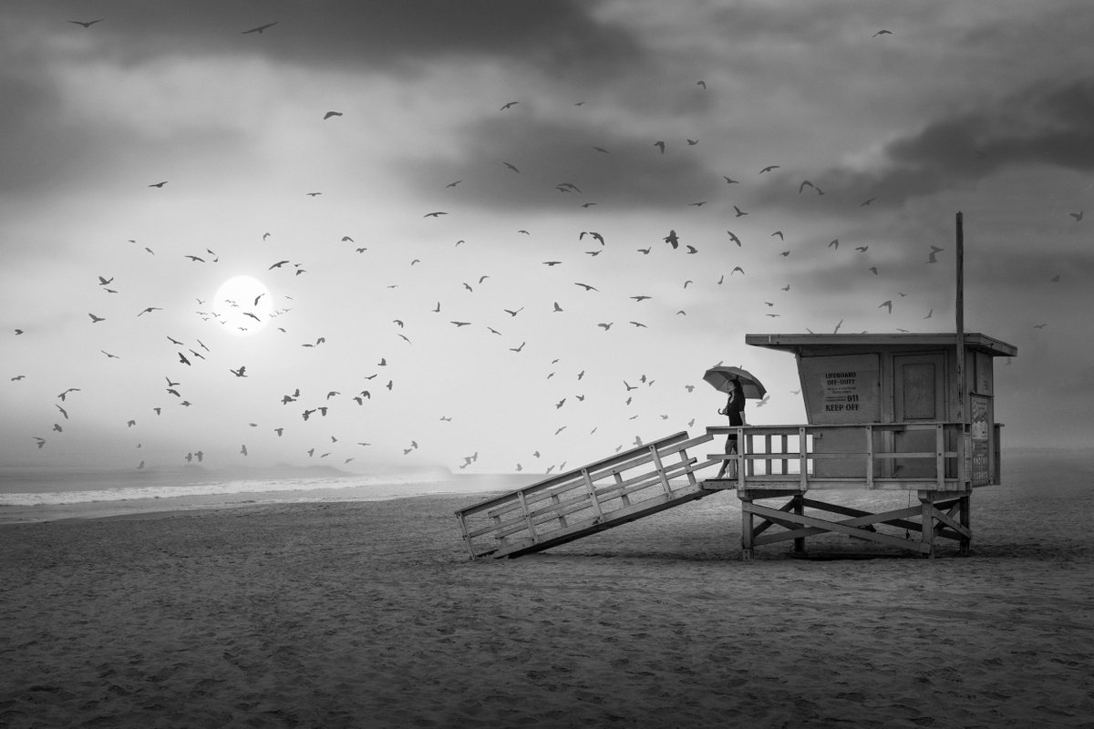 PACIFIC MOODS...Limited Edition Photo Made inVenice Beach, California by Harv Greenberg