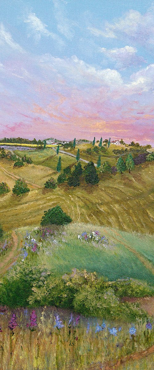 Umbrian Meadows In Spring by Andrew Cottrell