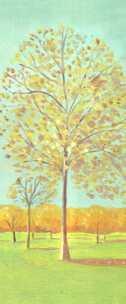 Golden trees in sunlight by Mary Stubberfield