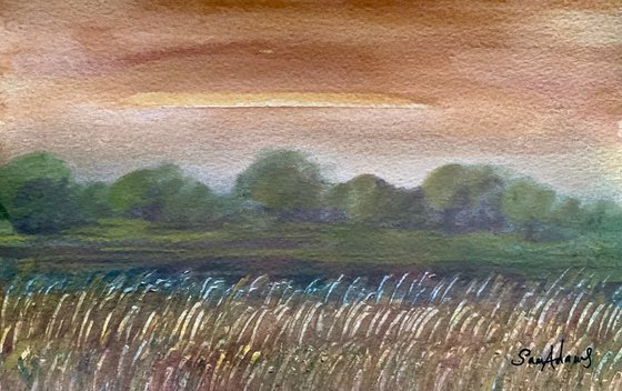 By the Grass Meadow