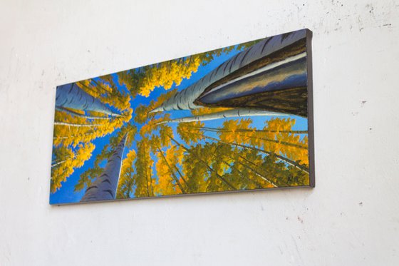 CELESTIAL BIRCHES 4