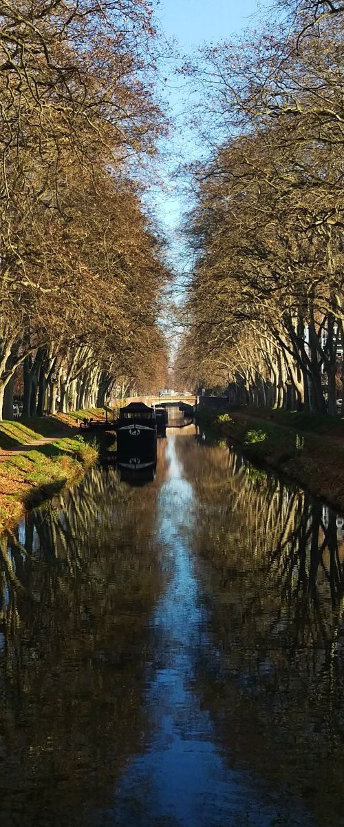 Canal Du Midi, 21x21 Inches, C-Type, Framed by Amadeus Long