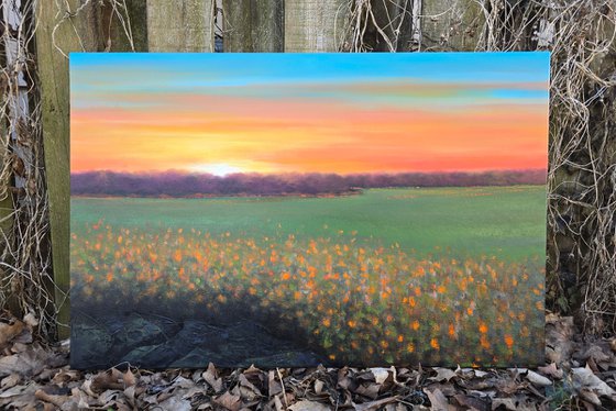 The Light Finds Me Waiting