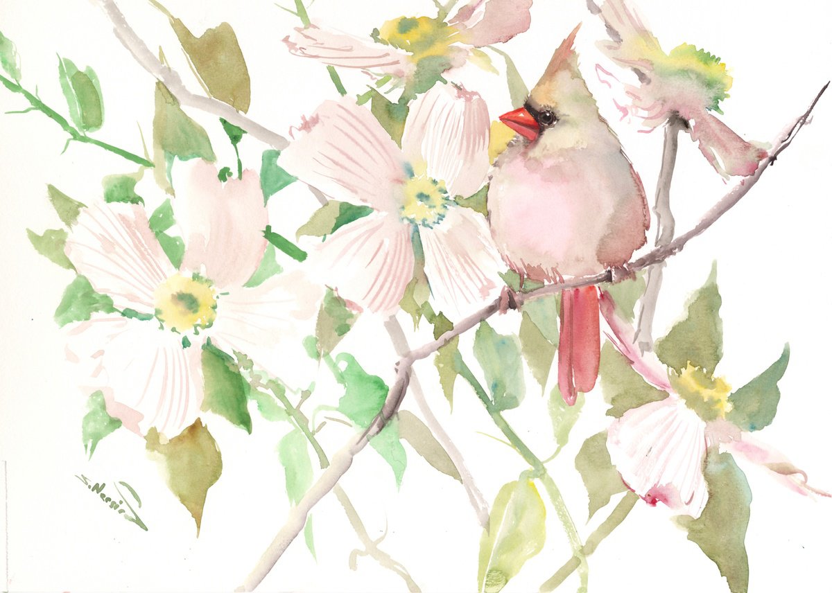 Cardinal Bird and Dogwood Flowers by Suren Nersisyan