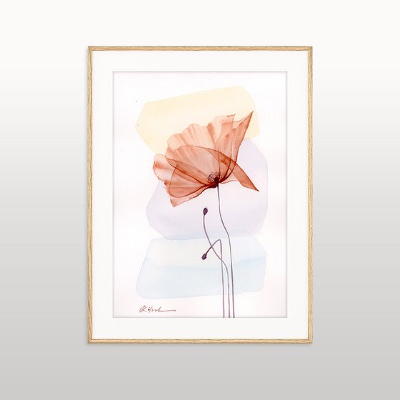 Gentle Poppy Flower
