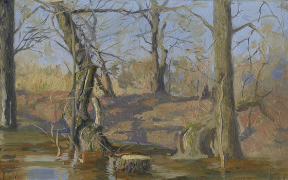 Spring flood