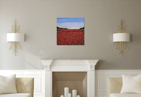 Poppy Fields and Faraway Sky