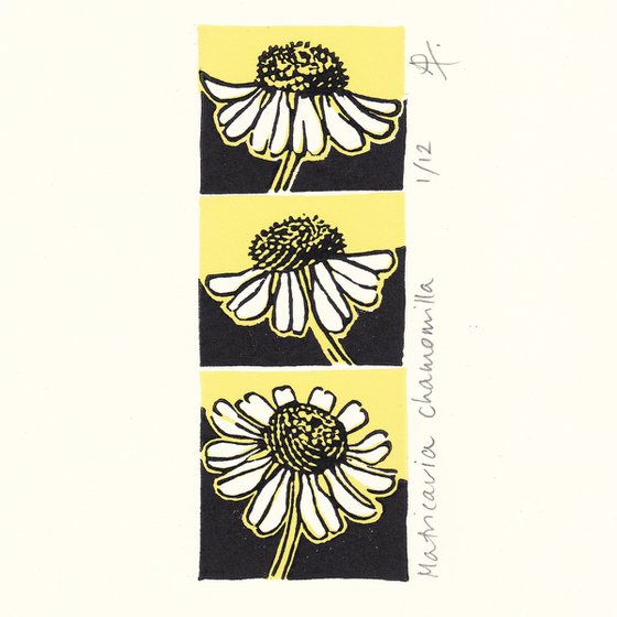 Camomile (butter and black colourway)