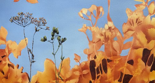 Artwork by Vera Hoi