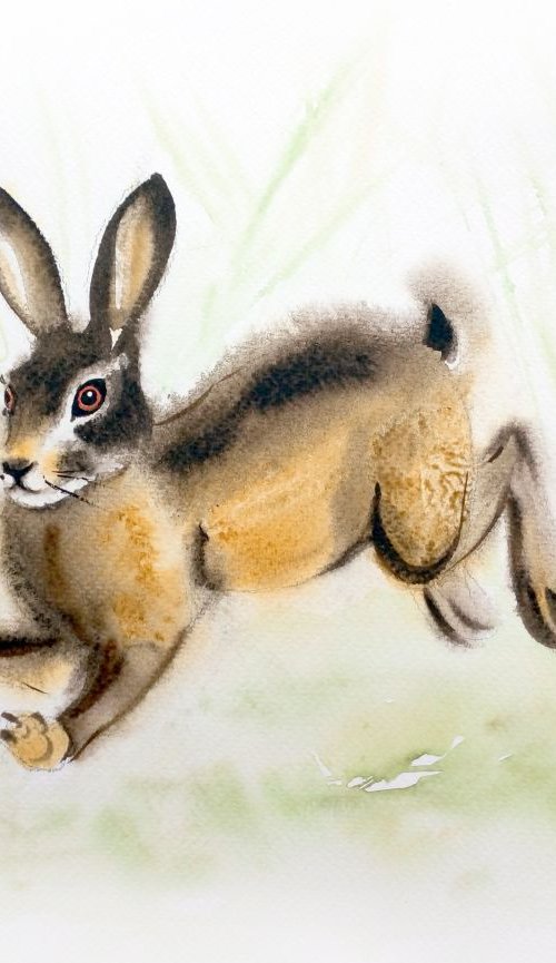 Running Hare - Bunny - Wild Ha by Olga Beliaeva Watercolour