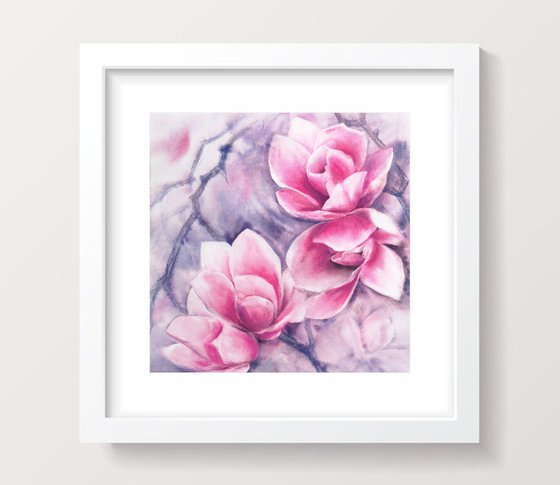 Magnolia blooming, pink flowers watercolor painting