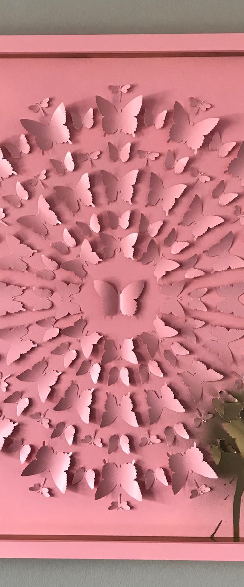 Pink by Hernan Reinoso