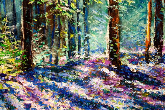 Sunny  landscape
