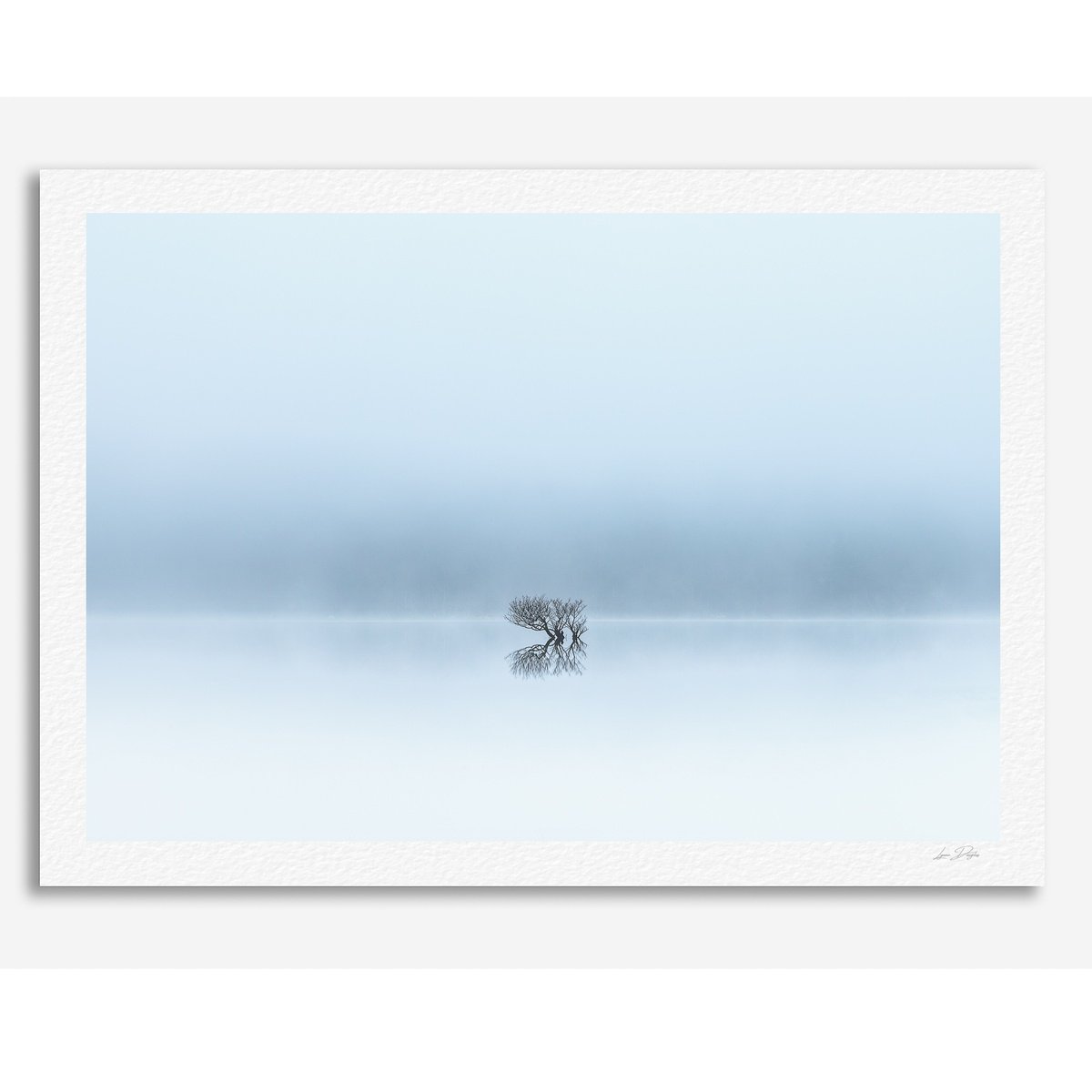 Impressionistic Landscape Photograph By Lynne Douglas, 52 X 36", Like You...., Original Artwork