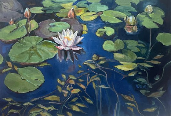 Water lilies at sunset 72.2 cm/50 cm (2022)