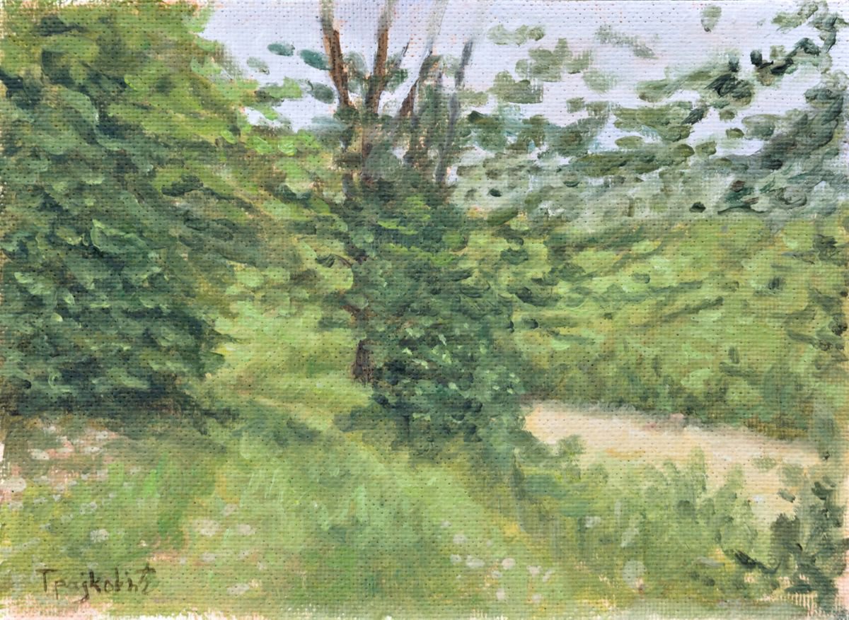 Impressionistic Landscape Oil Painting By Dejan Trajkovic, 14 X 11, Grassy Road, Original Artwork