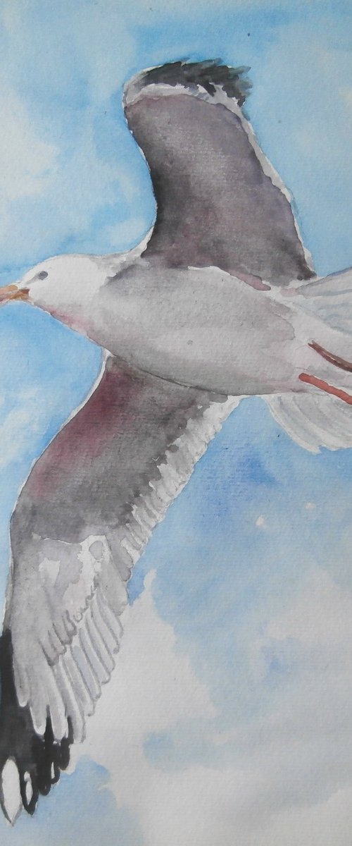 SEAGUL by Zoran Mihajlović Muza
