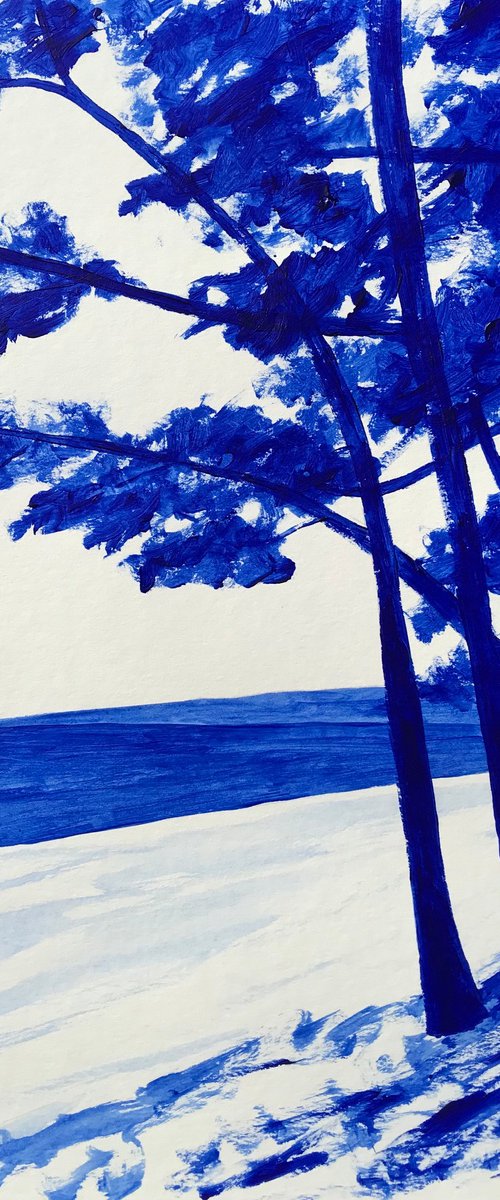 Avenue du Cap Coz by Cadiou Frederic