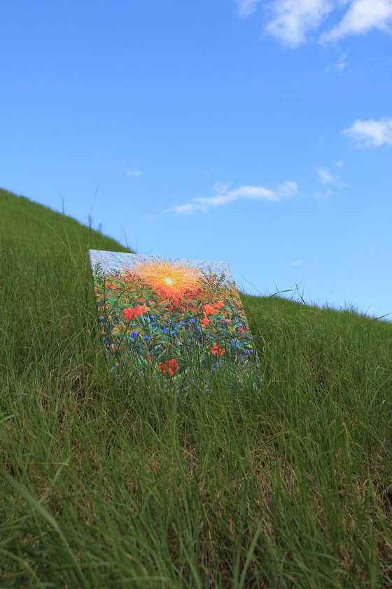 Poppies and Cornflowers in the field