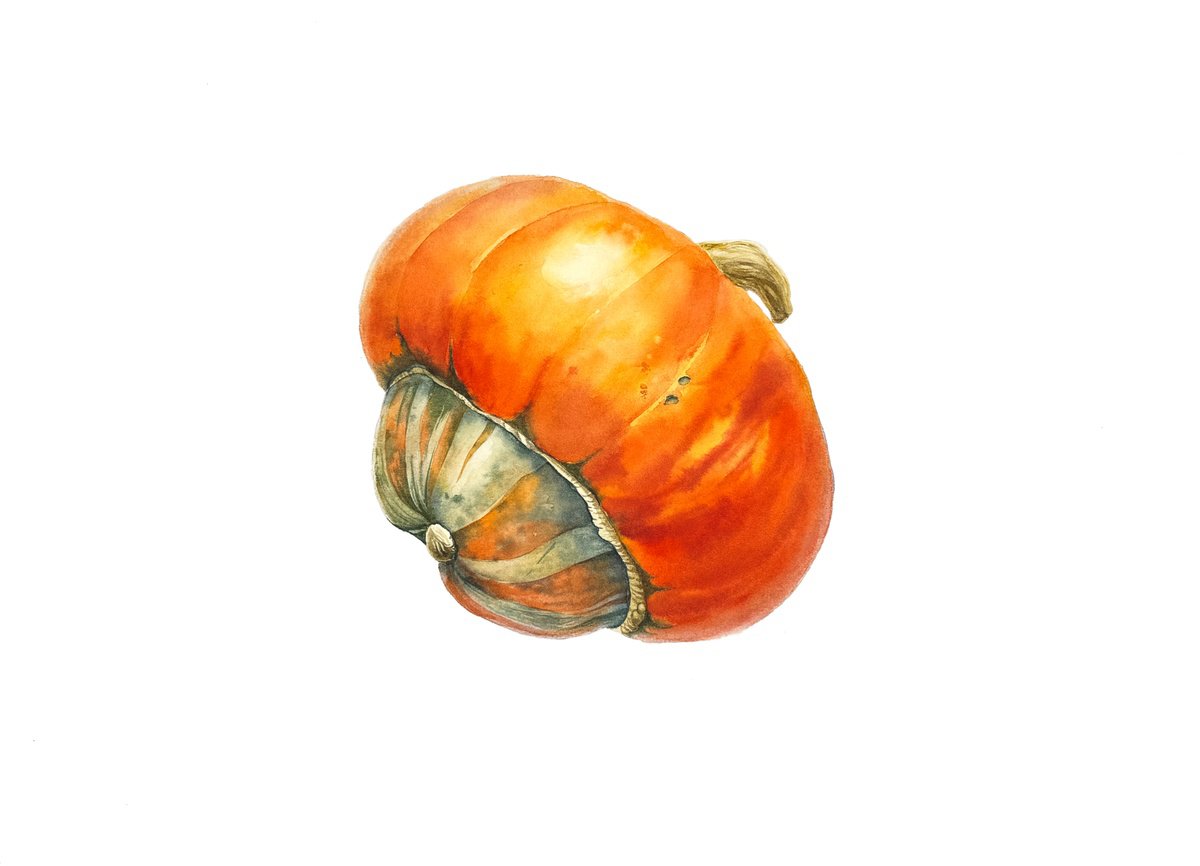 Photorealistic Watercolour , Pumpkins Painting By Yuliia Prokopchuk, 14 X 10, Artwork For Sale On Artfinder