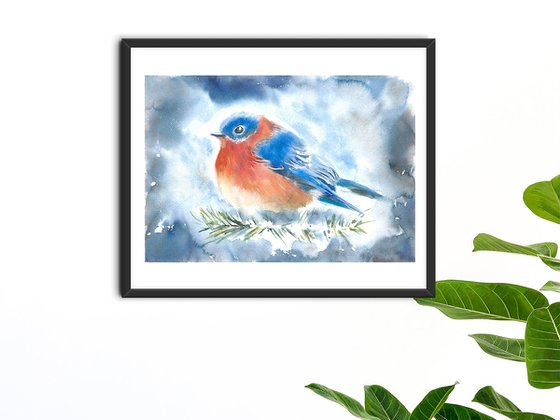 Watercolor robin bird on a fir tree branch. Blue snowy background. Winter illustration.